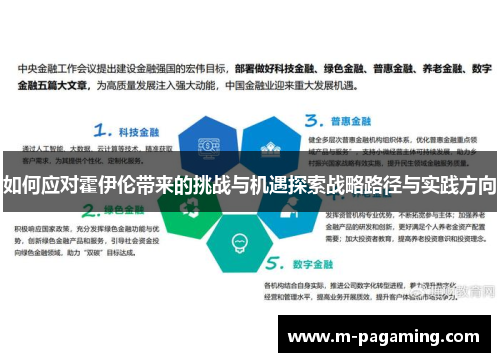 如何应对霍伊伦带来的挑战与机遇探索战略路径与实践方向