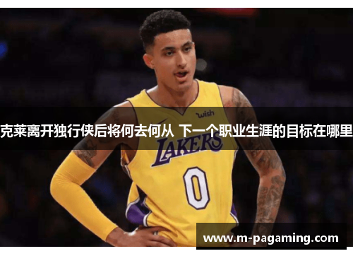 克莱离开独行侠后将何去何从 下一个职业生涯的目标在哪里