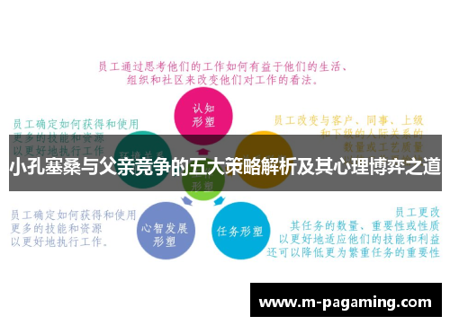 小孔塞桑与父亲竞争的五大策略解析及其心理博弈之道