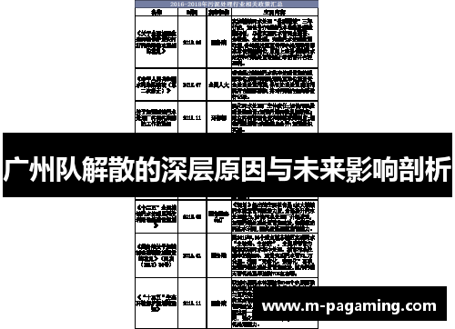 广州队解散的深层原因与未来影响剖析