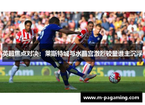 英超焦点对决：莱斯特城与水晶宫激烈较量谁主沉浮
