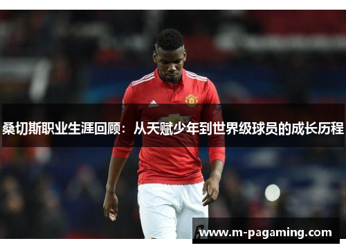 桑切斯职业生涯回顾：从天赋少年到世界级球员的成长历程