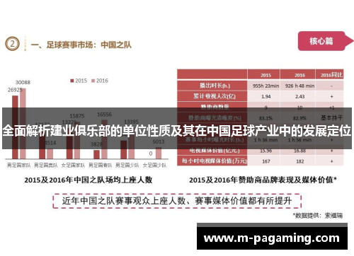 全面解析建业俱乐部的单位性质及其在中国足球产业中的发展定位