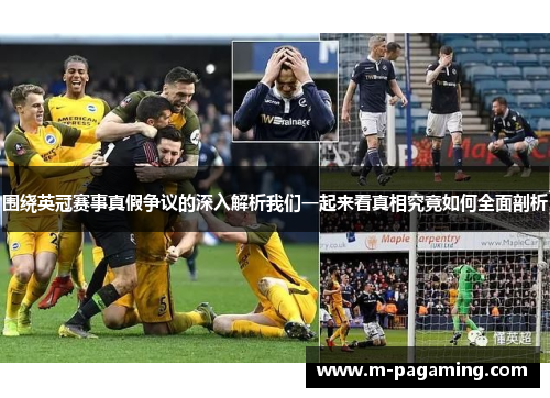 围绕英冠赛事真假争议的深入解析我们一起来看真相究竟如何全面剖析