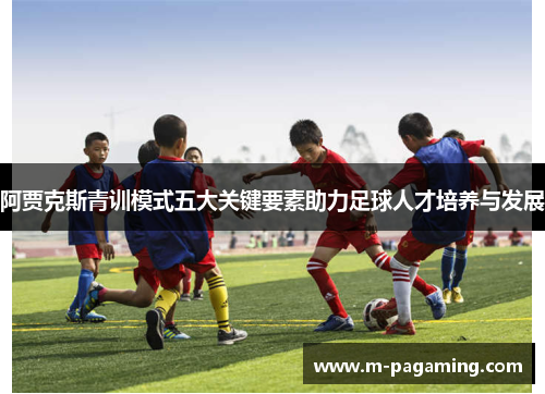阿贾克斯青训模式五大关键要素助力足球人才培养与发展