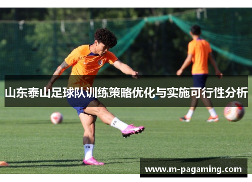 山东泰山足球队训练策略优化与实施可行性分析