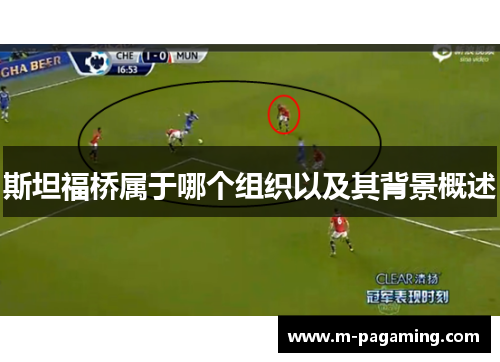 斯坦福桥属于哪个组织以及其背景概述